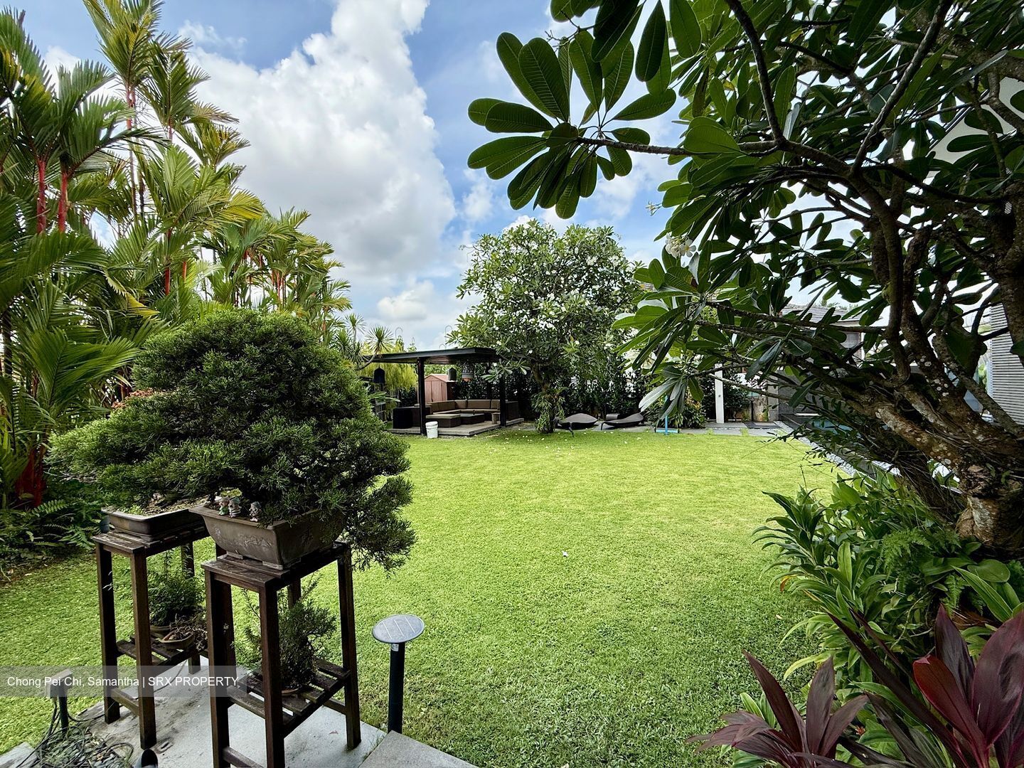 Braddell Heights Estate (D13), Detached #520947711